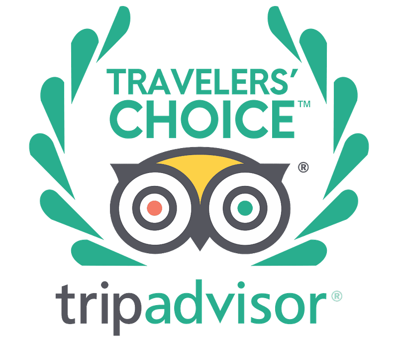 Tripadvisor Traveler's Choice Awards logo
