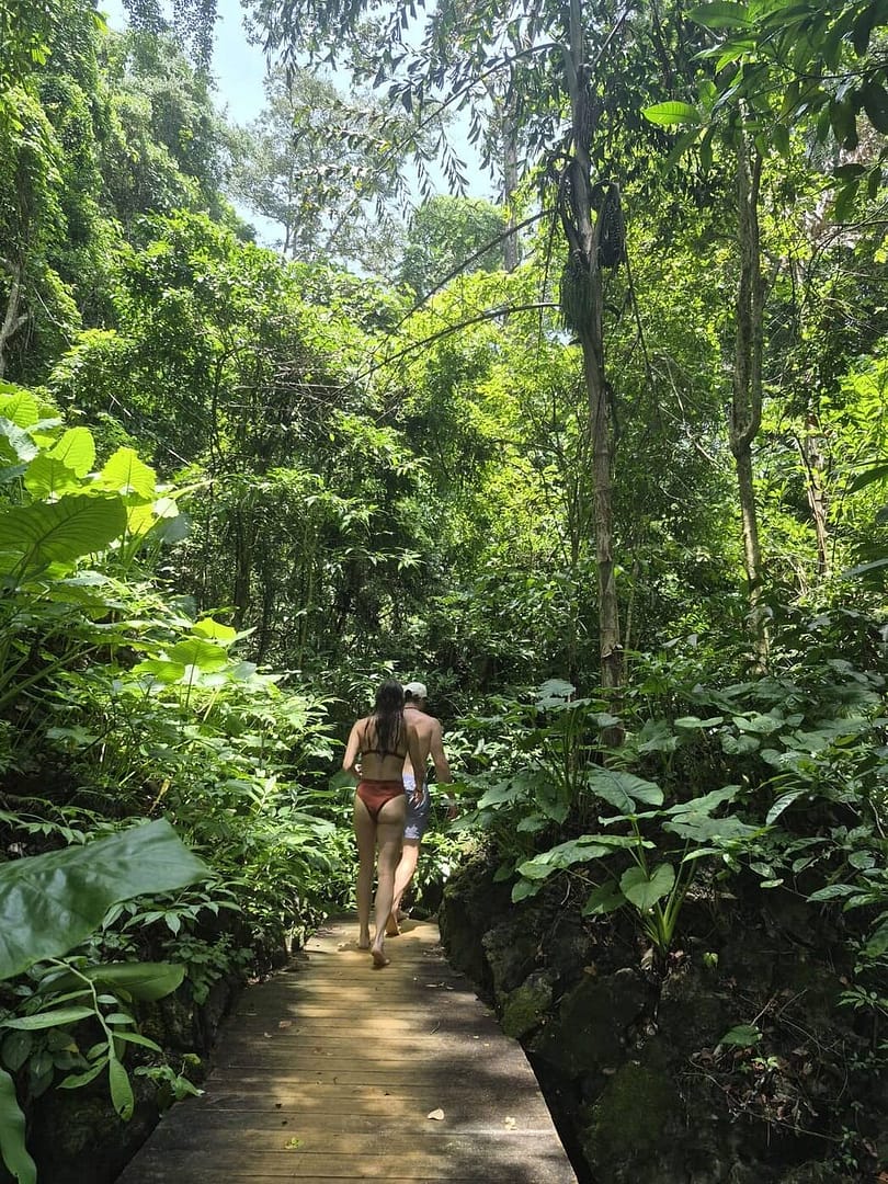 Una mujer que camina por la selva por una pasarela de madera