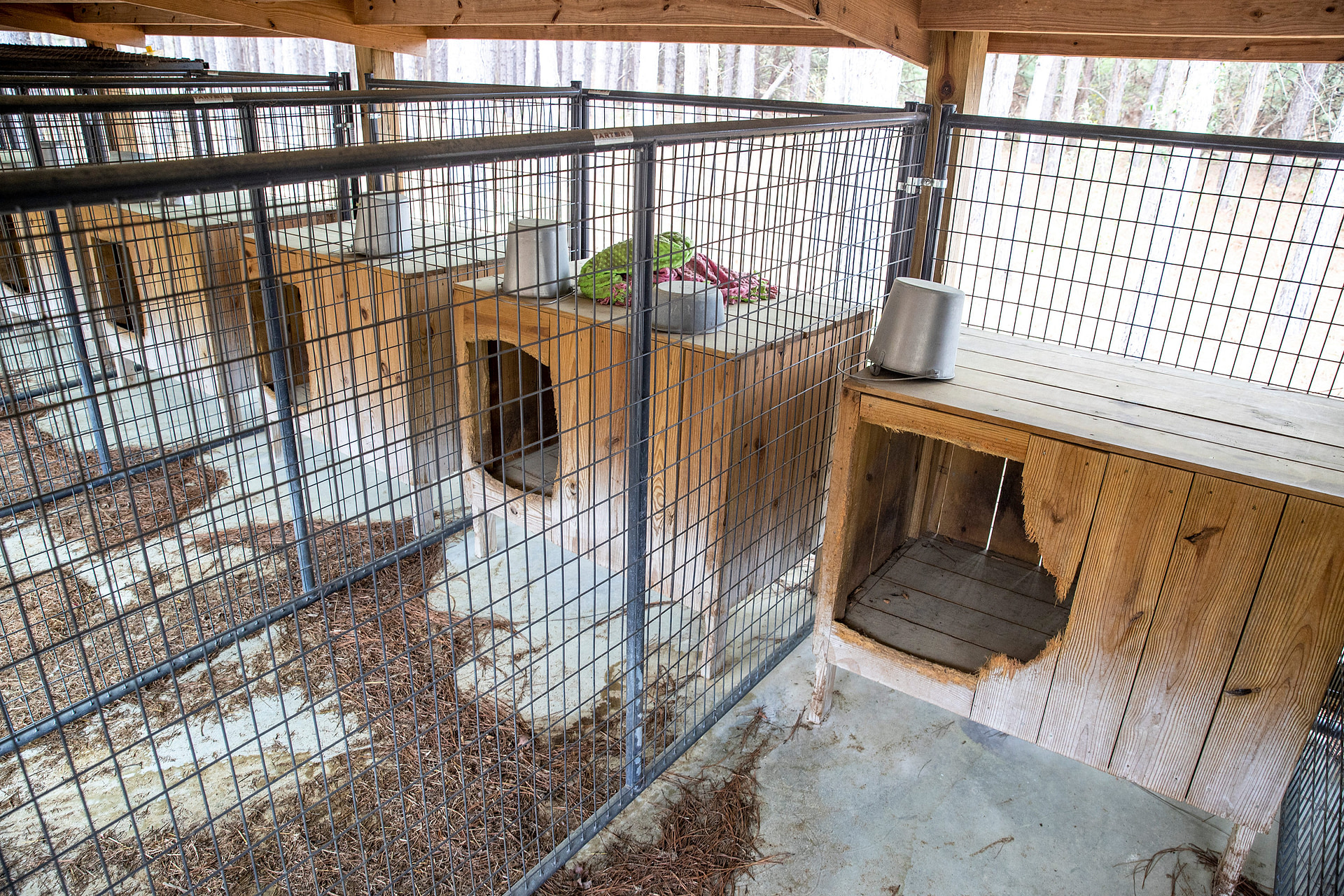 Dog kennels at the Murdaugh’s Moselle property in Islandton, South Carolina.
