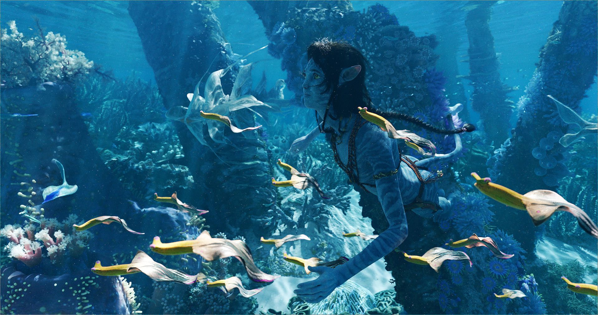 Kiri swims through coral and a pod of banana peel fish in Avatar: The Way of Water