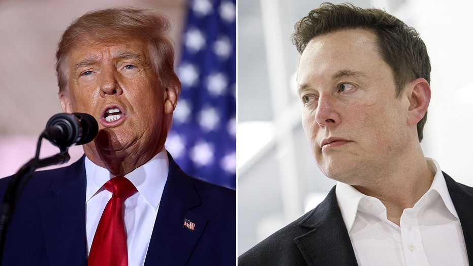 Elon Musk says ‘election interference’ by social media companies ‘is wrong,’ undermines democracy