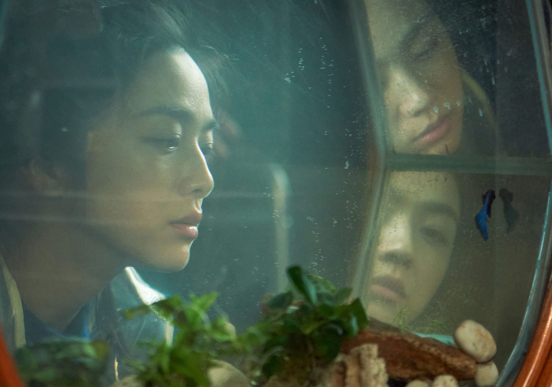 Seo-rae (Tang Wei) looks through a large glass fishbowl with faceted sides that reflect her face in Decision To Leave