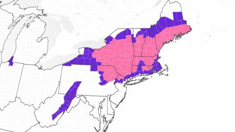  A map showing winter weather alerts issued across the Northeast as of early Tuesday, with purple indicating winter weather advisories and pink representing winter storm warnings.