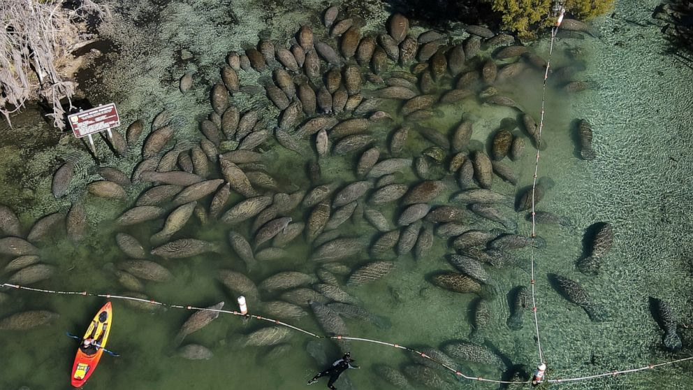 Ian ruins man-made reefs, brings algae bloom to Florida