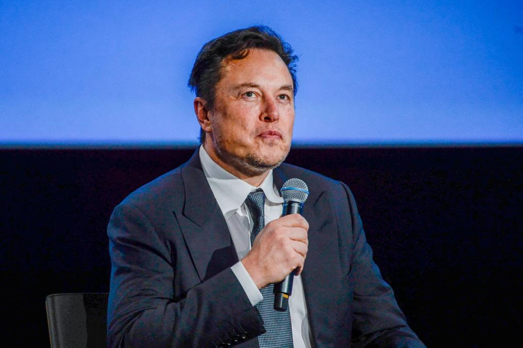 Elon Musk warns of ‘benign dependency’ on AI: ‘dangerous to civilization' - Credit: New York Post