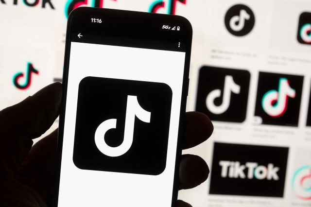 online censorship "The Impact of the TikTok Ban and AI-Based Online Censorship" - Credit: The Hill