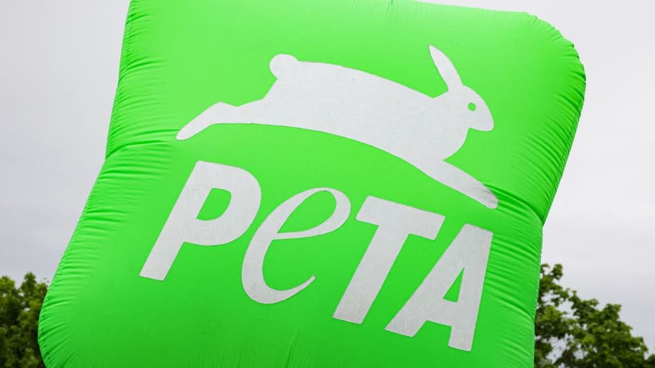 PETA blasts NYC for hiring ‘rat czar,’ says city’s filth is a ‘human problem’
