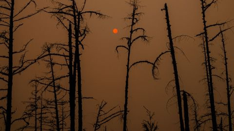 The sun seen through smoke from wildfires in Siberia in July 2021.