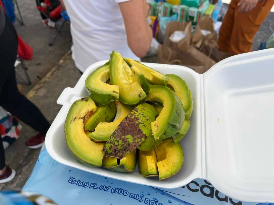 After Hurricane Fiona, avocados have become a currency of community in Puerto Rico